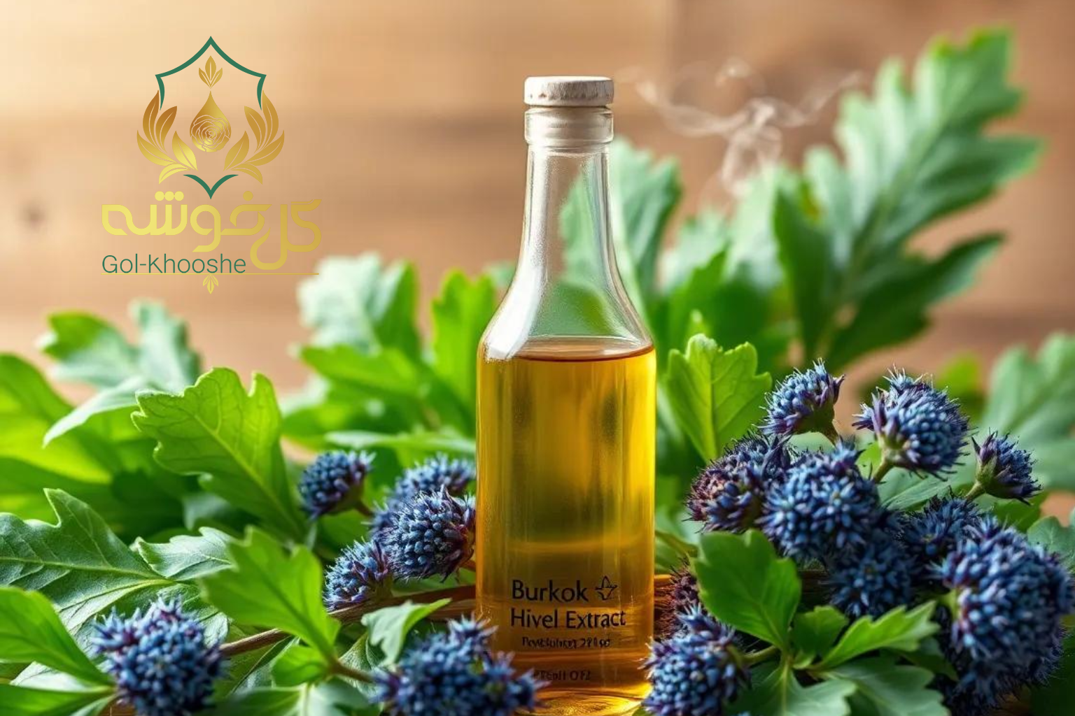 خواص عرق بوقناق برای بدن